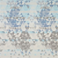 RX 6016 Privacy Curtain Fabric